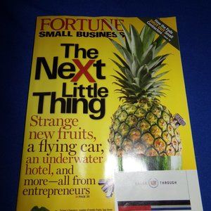 Vintage Fortune Small Business Magazine - The Next Little Thing Entrepreneurs